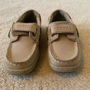 Sperry bluefish dress shoes